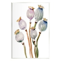 Stupell Industries mak Pods akvarelni botanički botanički i cvjetni slika