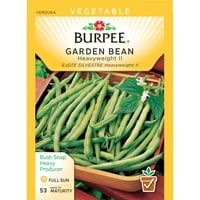 Burpee-zrno, teška ii paket sjemena