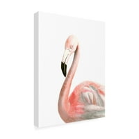 Zaštitni znak likovna umjetnost 'akvarel flamingo' platno umjetnost Naomi McCavitt