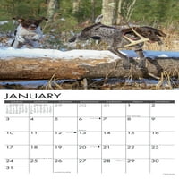 Willow Creek Press samo njemački shorthaid pokazivači zidni kalendar