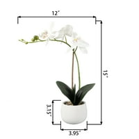 Bolji domovi i vrtovi 14.5 Umjetni stvarni cvjetovi orhideja u bijeloj keramici