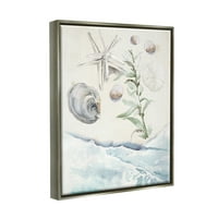 Stupell Starfish & Shells Lapping Beach Shore Pejzažno slikanje sivi plutasti uokvireni umjetnički print zidni umjetnost