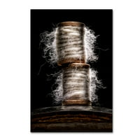 Zaštitni znak likovne umjetnosti 'Dlakave kalem' platno umjetnost Joea Felzmana Photography