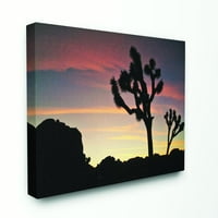 Stupell Home Décor Desert Tree Sunset Silhouette Fotografije platno zidna umjetnost Josepha Elliotta